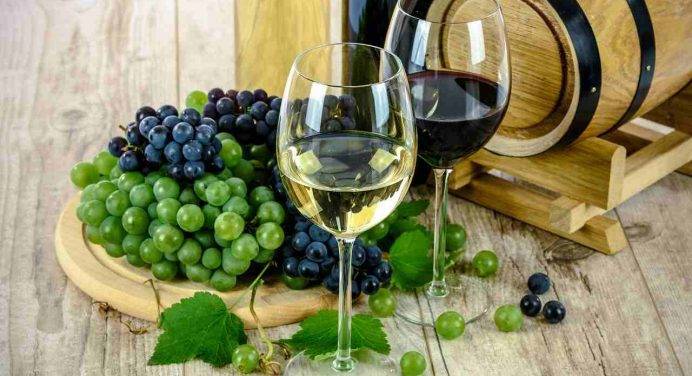 Patuanelli alla UE: “Non criminalizzare il vino come negativo per la salute”