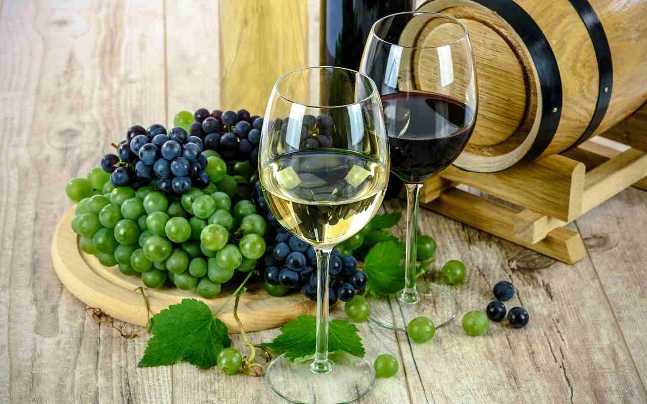 Patuanelli alla UE: “Non criminalizzare il vino come negativo per la salute”