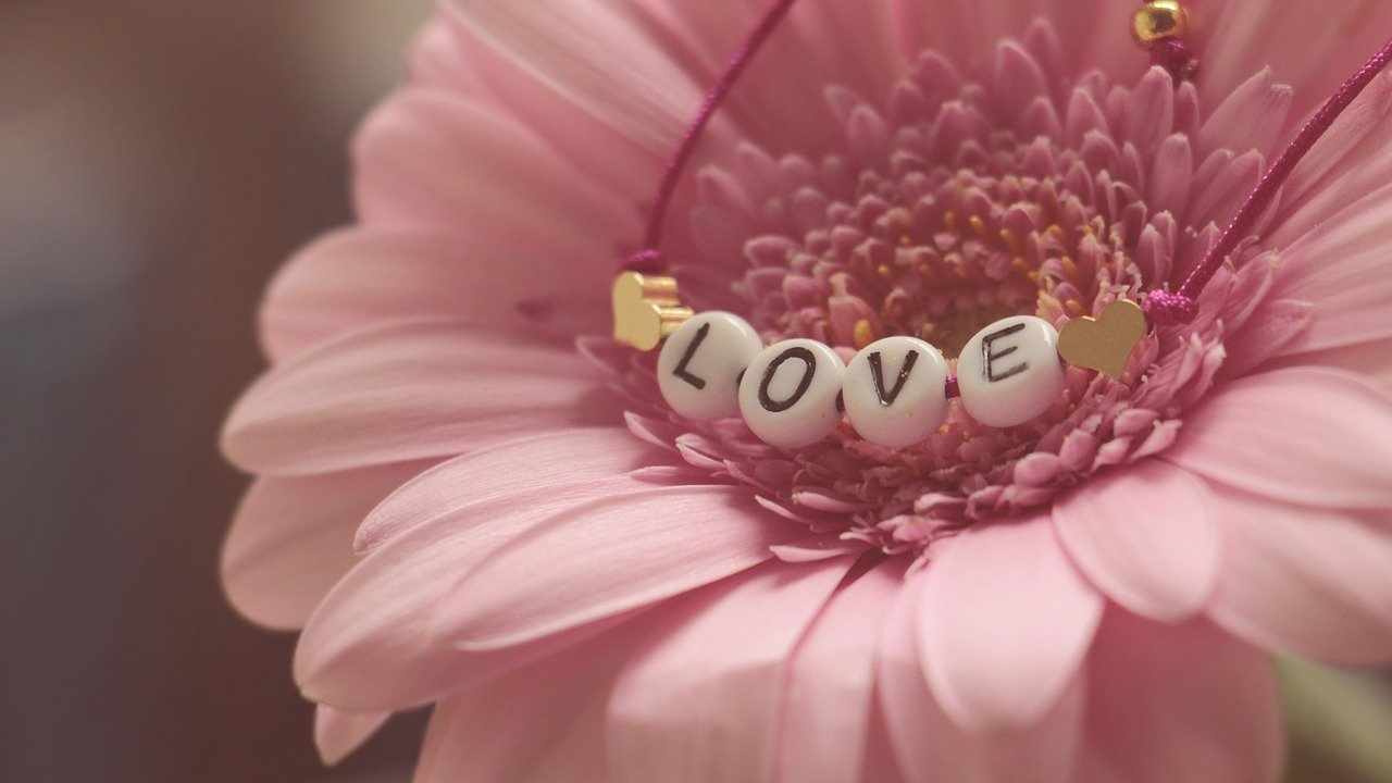 San Valentino 2022: ecco perché gli innamorati rischiano di rimanere senza fiori