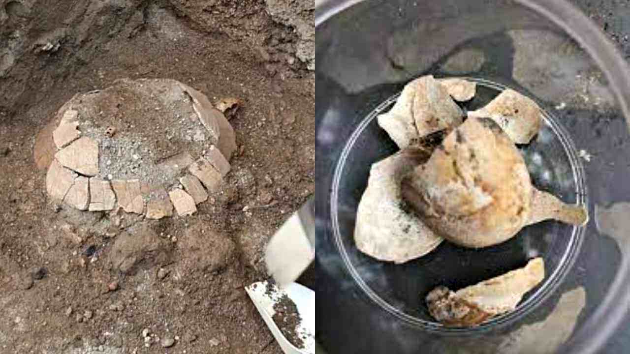 La sorpresa dagli scavi di Pompei: una tartaruga col suo uovo