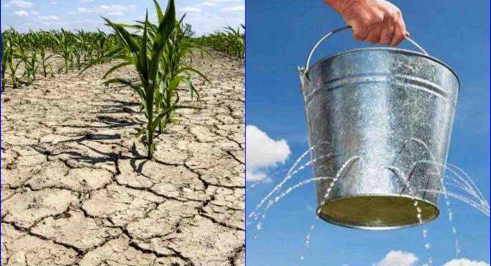 La siccità in Italia: quanto rispettiamo l’acqua?