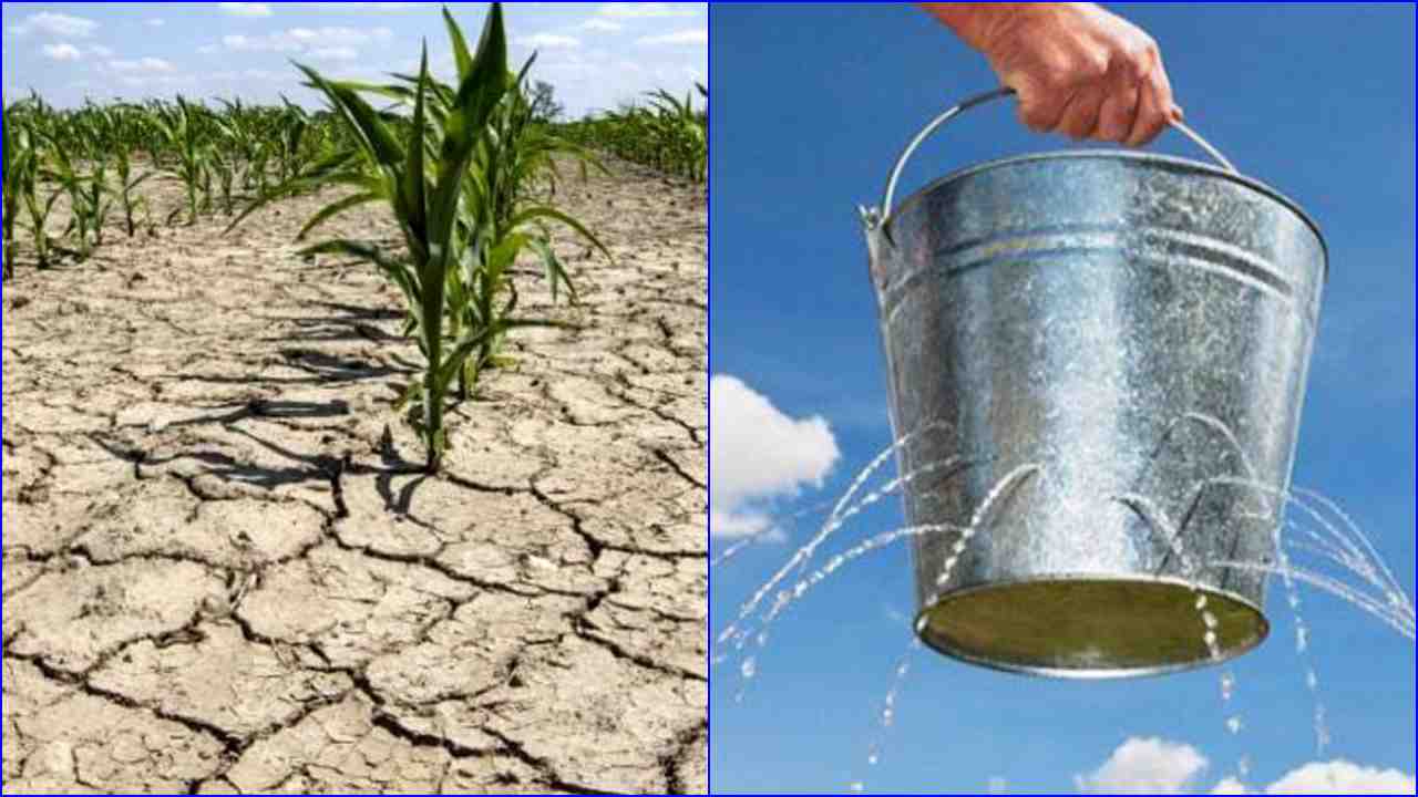 La siccità in Italia: quanto rispettiamo l’acqua?