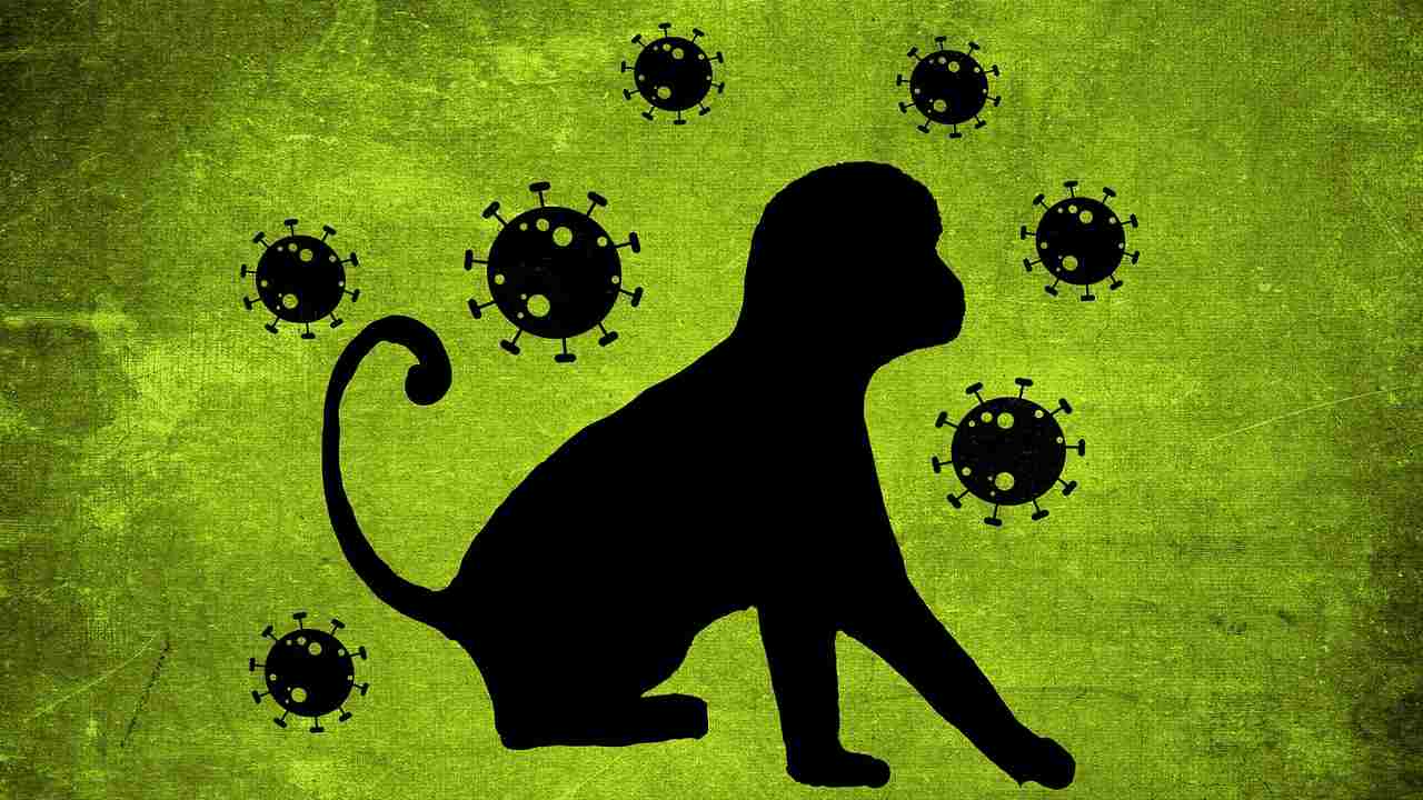 Vaiolo delle scimmie: da lunedì le vaccinazioni allo Spallanzani