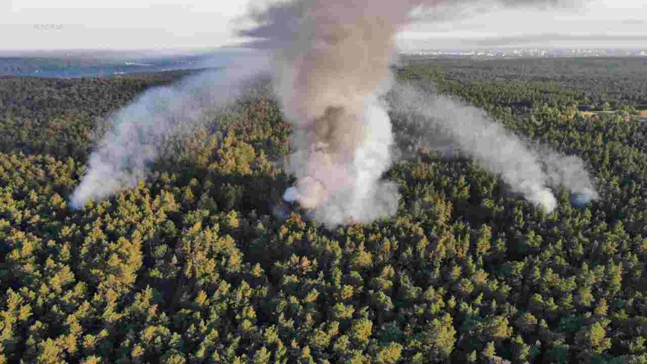 Germania: brucia il bosco Grunewald di Berlino