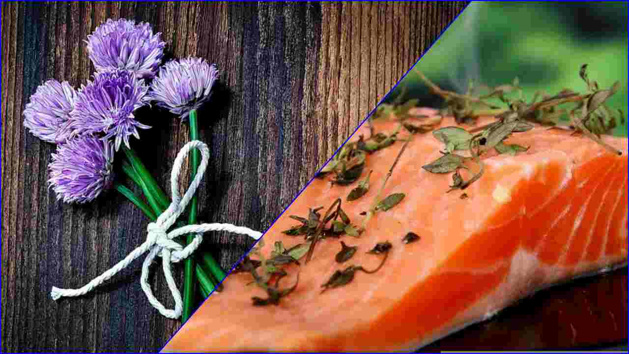 Cucinare sano e veloce: dadolata di salmone con erba cipollina