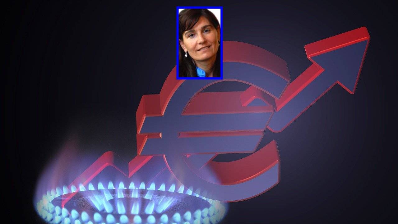 La crisi del gas un banco di prova per l’Europa unita