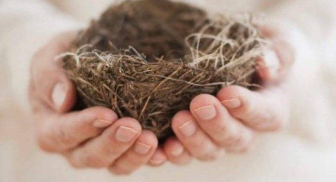 Sindrome del nido vuoto: una fine o un nuovo inizio?