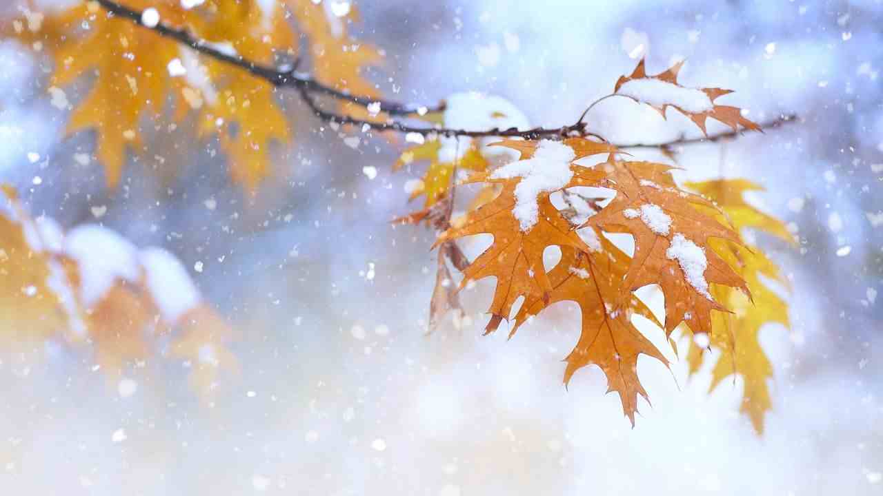Meteo: l’inizio di dicembre sarà contrassegnato da grande freddo e neve