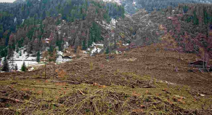 Maltempo: alberi caduti nel Goriziano, frana in Friuli