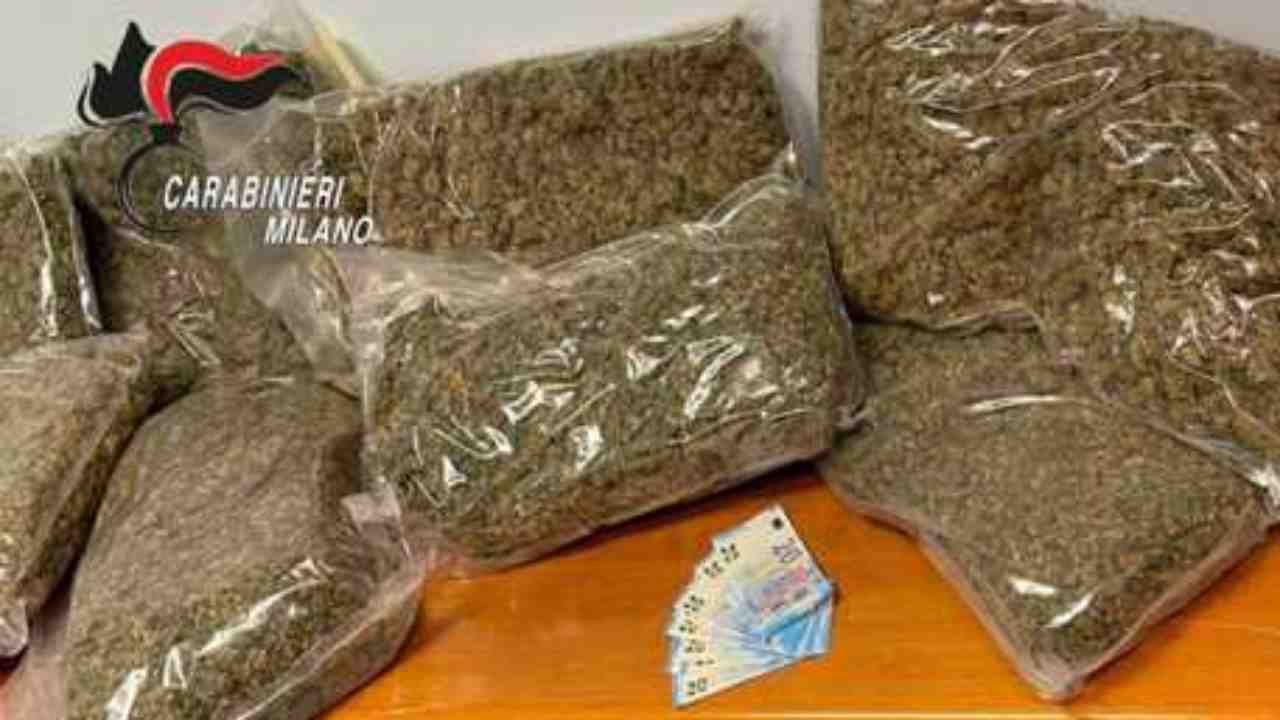 Milano, un arresto per spaccio e 20 kg di droga sequestrati