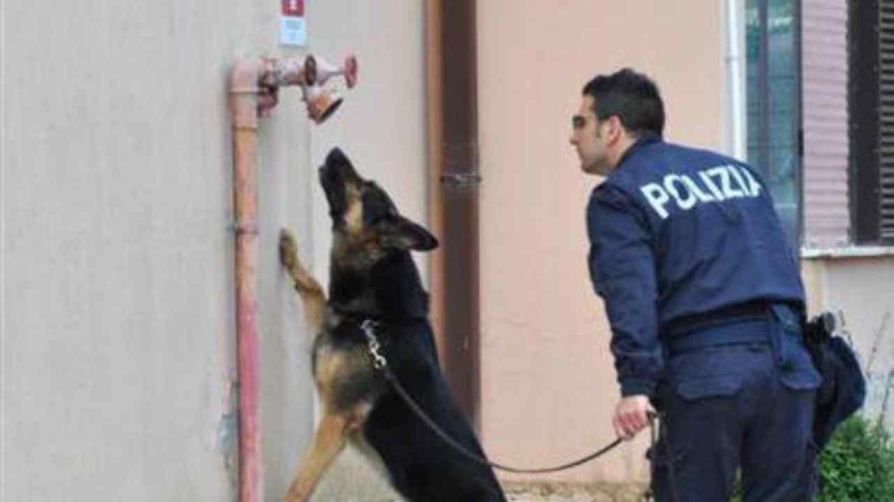 Genova, spacciatore arrestato dopo aver offerto droga a un poliziotto