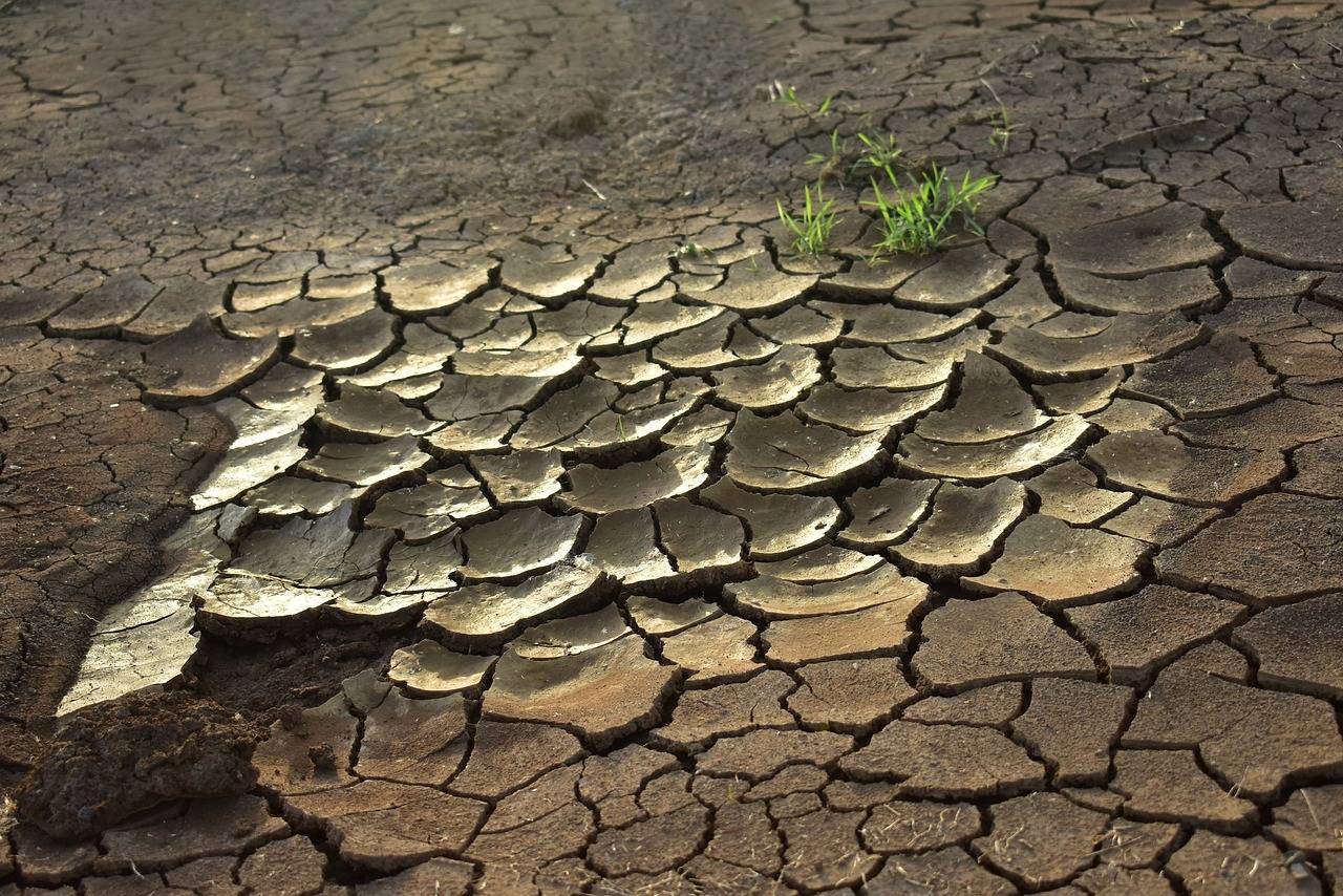 Gozzini: “Le cause di questa siccità anomala e come superarla”