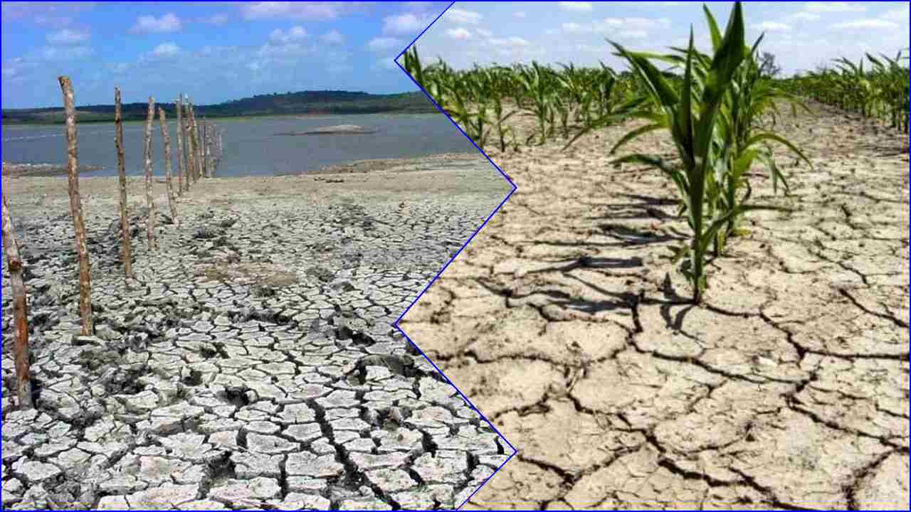 Bazzana (Coldiretti): “Contro la siccità non è l’agricoltura che deve cambiare”
