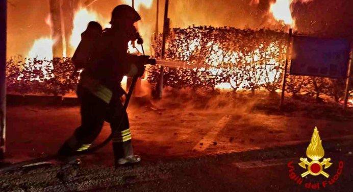 Coldiretti: “Dolosi 6 incendi su 10, sale il conto dei danni”