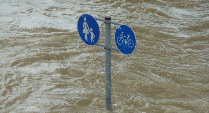 Alluvione in Emilia Romagna, sciacalli in azione