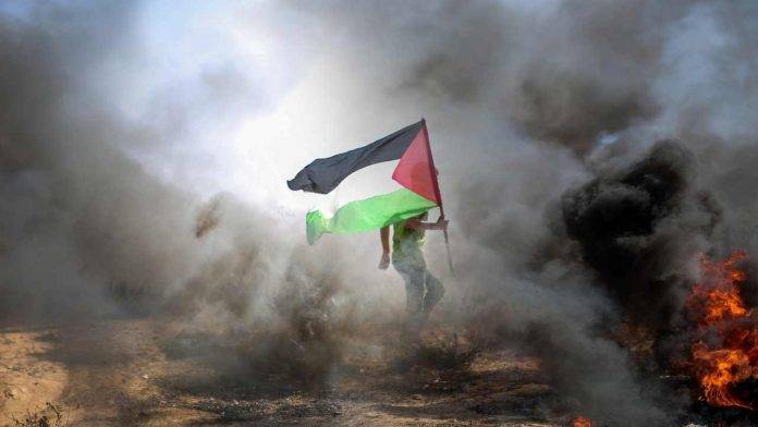 bandiere palestinese