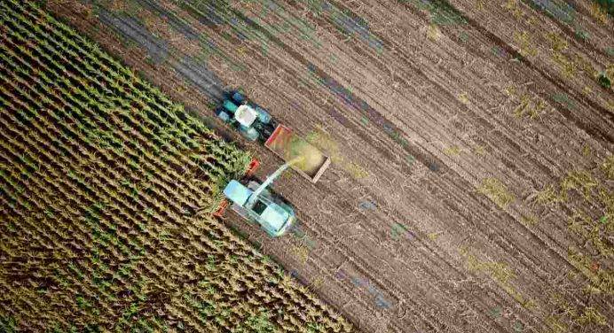 Insicurezza alimentare e danni all’agricoltura: gli effetti dei cambiamenti climatici