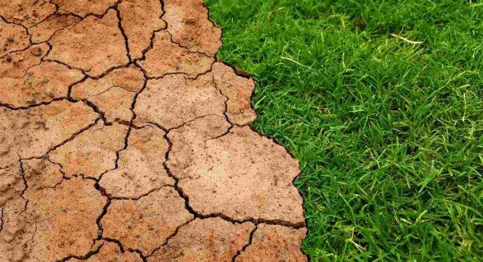 Rischio desertificazione in Italia: perché non si può più parlare di emergenza
