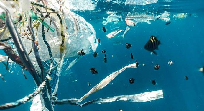 Primi dati sulla quantità di plastica depositata sui fondali oceanici
