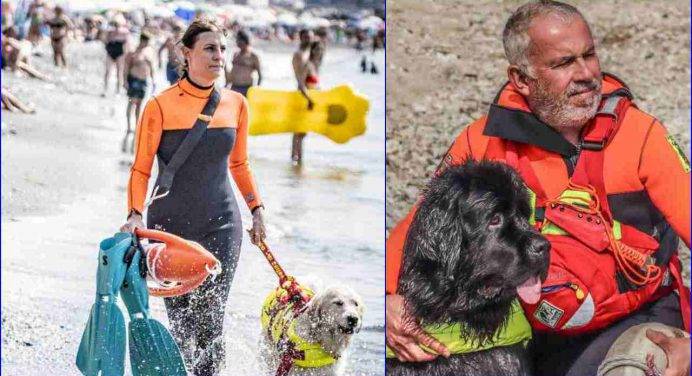 Cani-bagnino: la sicurezza a quattro zampe sulle spiagge italiane