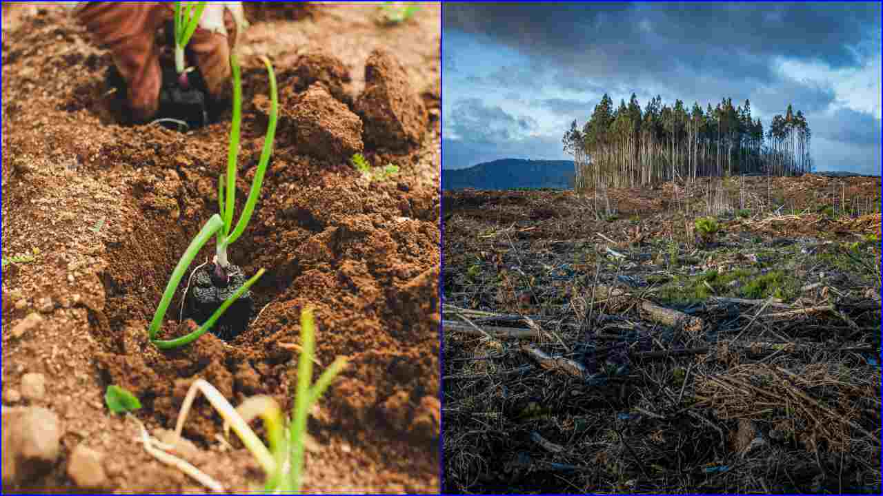 Gli effetti che l’agricoltura ha sui cambiamenti climatici