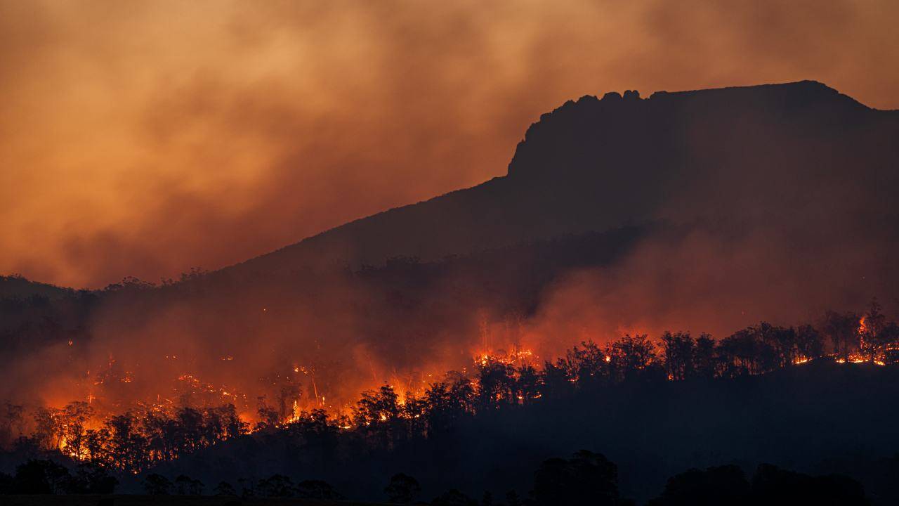 Incendi che devastano il mondo: non dimentichiamo le emergenze secondarie