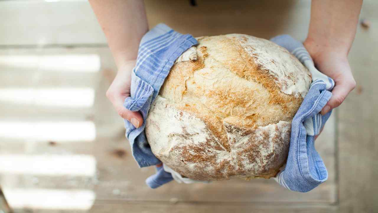 Dal grano al pane il prezzo lievita oltre 17 volte