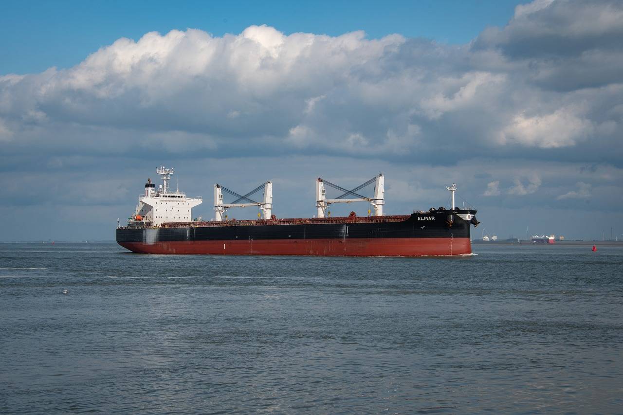 Kiev: navi mercantili in viaggio verso i porti ucraini per caricare grano