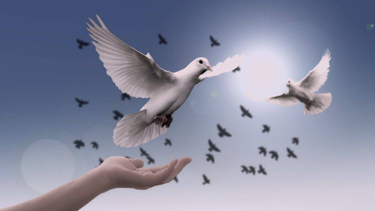 La pace, il bene più prezioso dell’umanità
