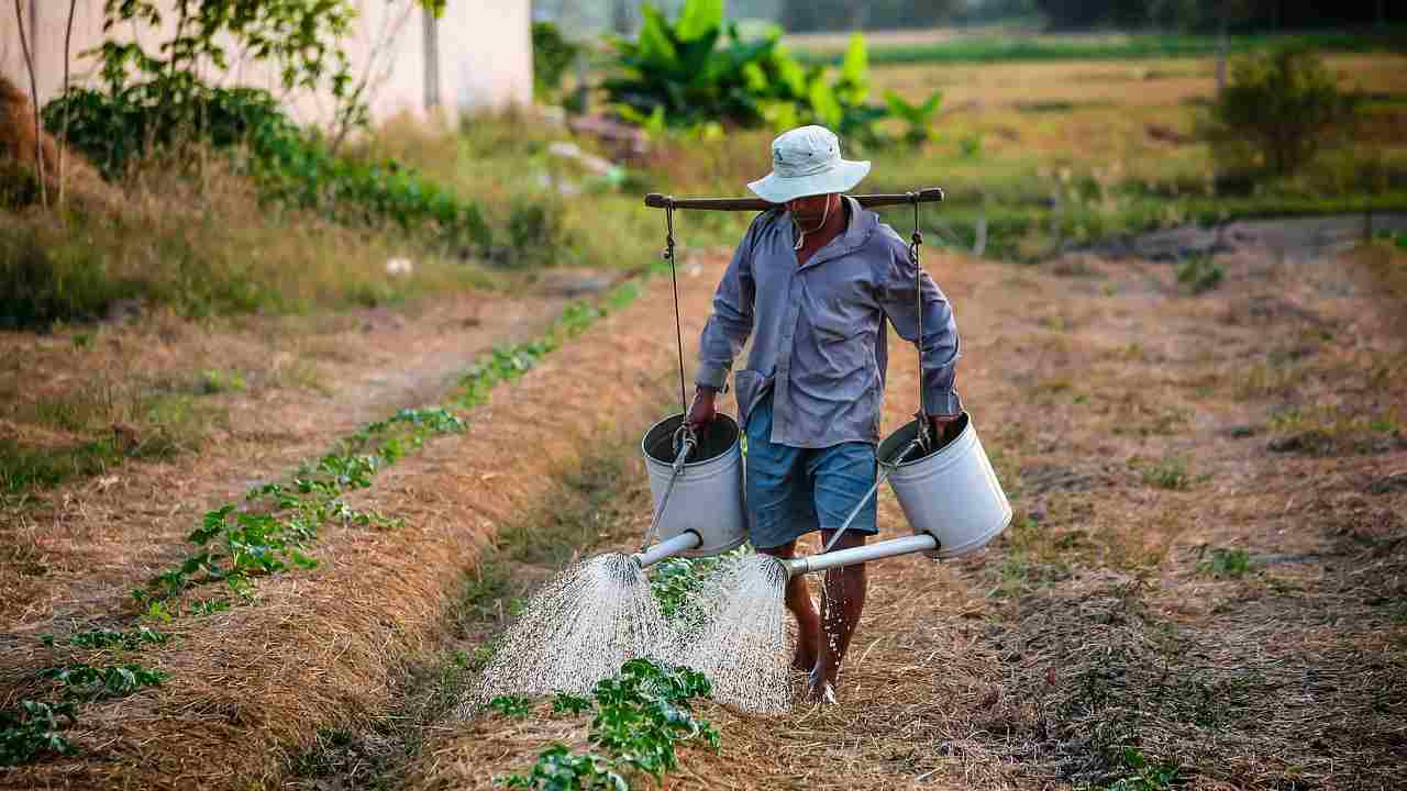 Agricoltura smart: la tecnologia in campo per non sprecare l’acqua