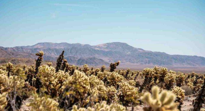Elicottero si schianta nel Mojave: 6 morti
