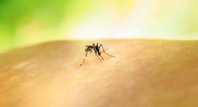 In Brasile già un milione di contagi di Dengue