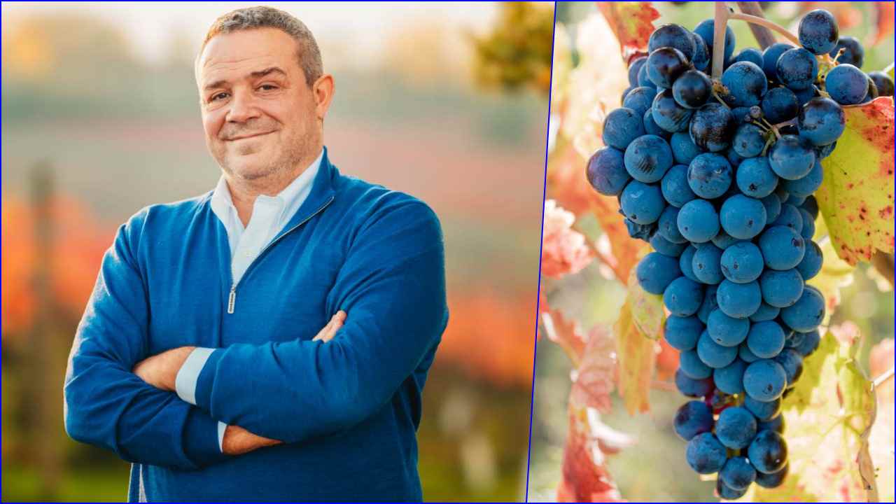 Marco Caprai: “Il mio sogno di inclusione nelle vigne del Sagrantino”