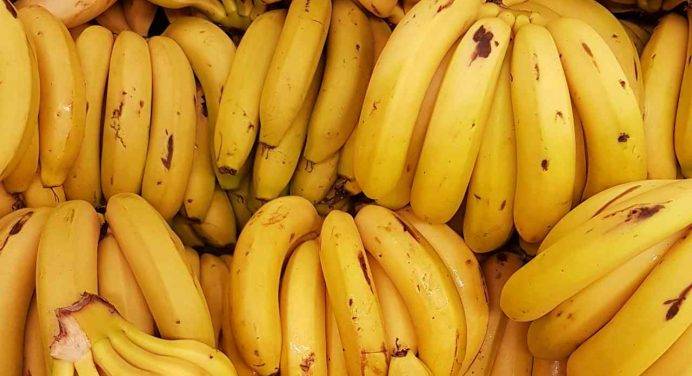 Ecco cosa minaccia la coltivazione delle banane di tutto il mondo