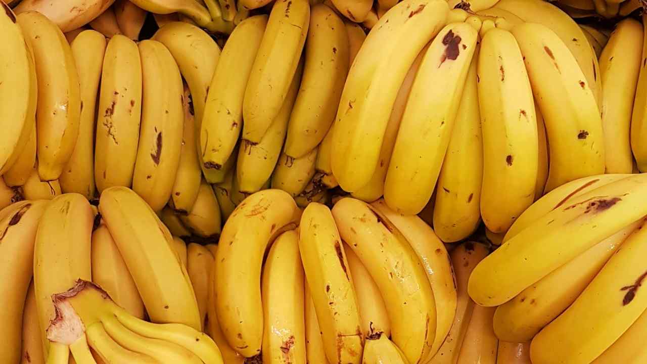 Ecco cosa minaccia la coltivazione delle banane di tutto il mondo